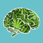 illustration of brain made of marijuana leaves - marijuana addiction