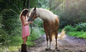equine therapy, equine, horses, horse, therapy