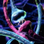 English Mountain - Understanding the Connection of the Role of Dopamine in Substance Addiction