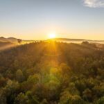 English Mountain - Forest Bathing Helps Your Addiction Recovery Journey