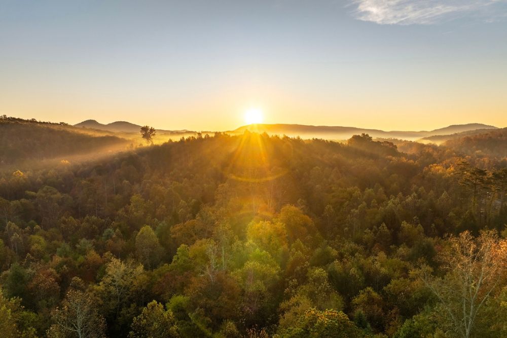 English Mountain - Forest Bathing Helps Your Addiction Recovery Journey